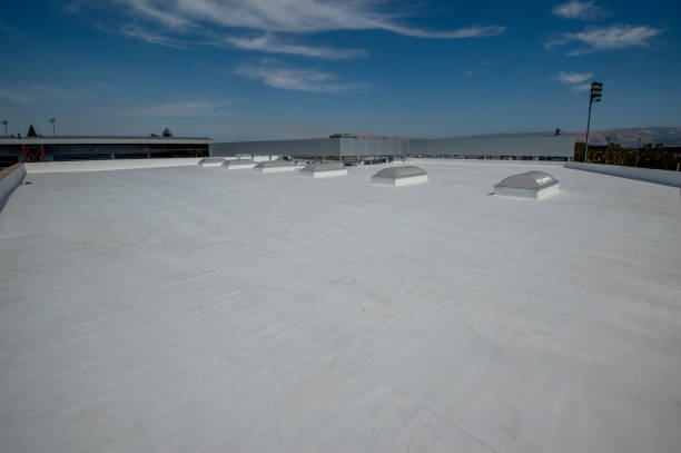 Best Roof Inspection  in Coronita, CA