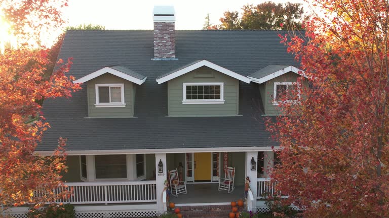 Best Roof Moss and Algae Removal  in Coronita, CA