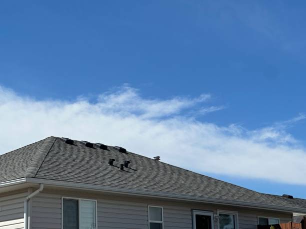Best Skylight Installation and Repair  in Coronita, CA