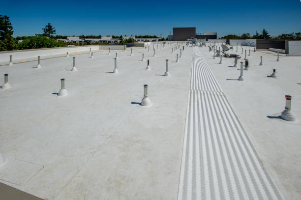 Best Roof Ventilation Installation  in Coronita, CA